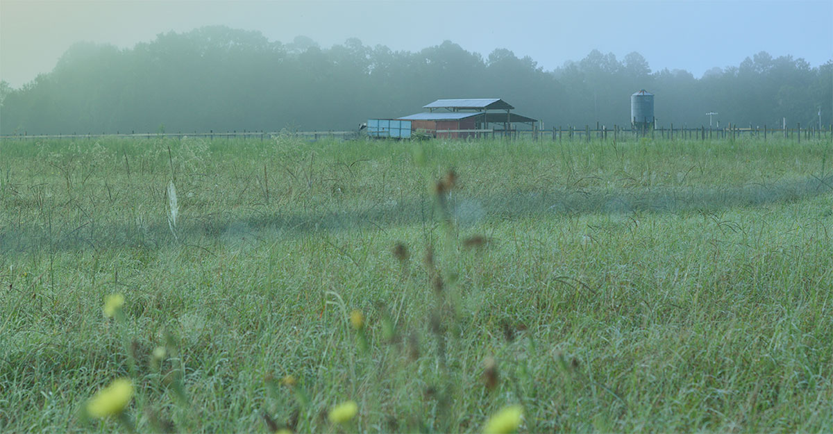 Hunter Cattle Company