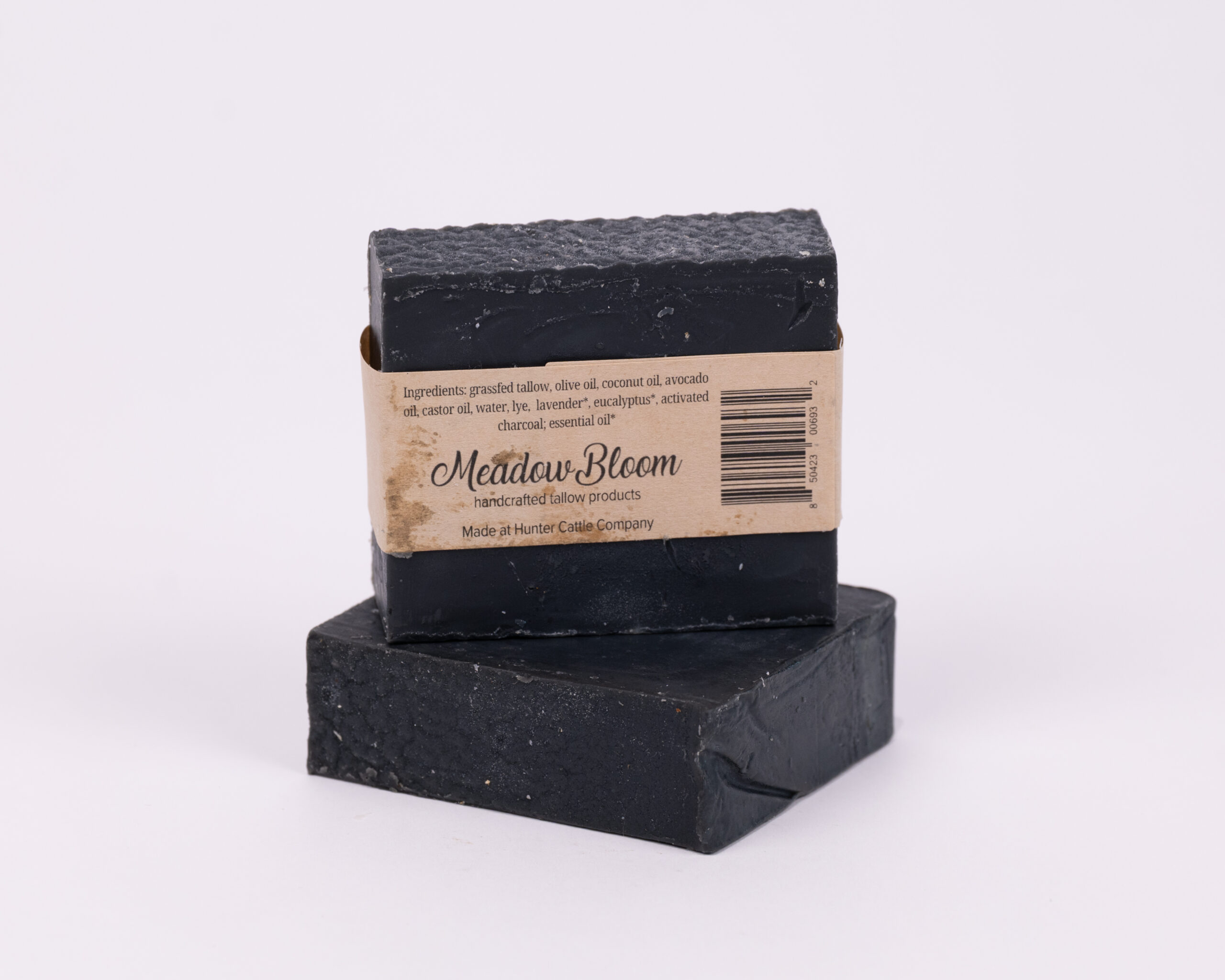 Black Bear - Image 2